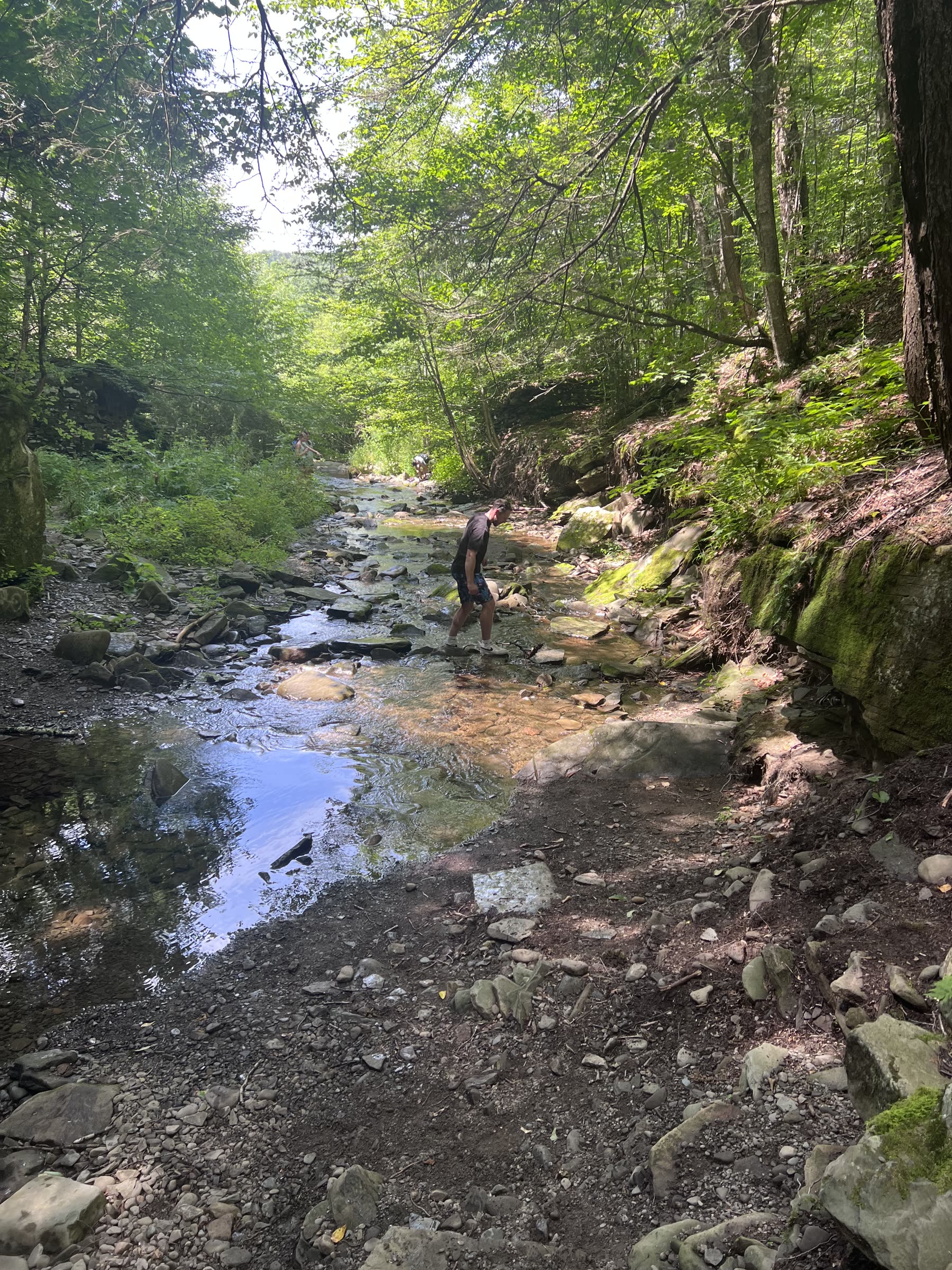Family exploring a shallow rocky creek beneath a green Catskills forest canopy