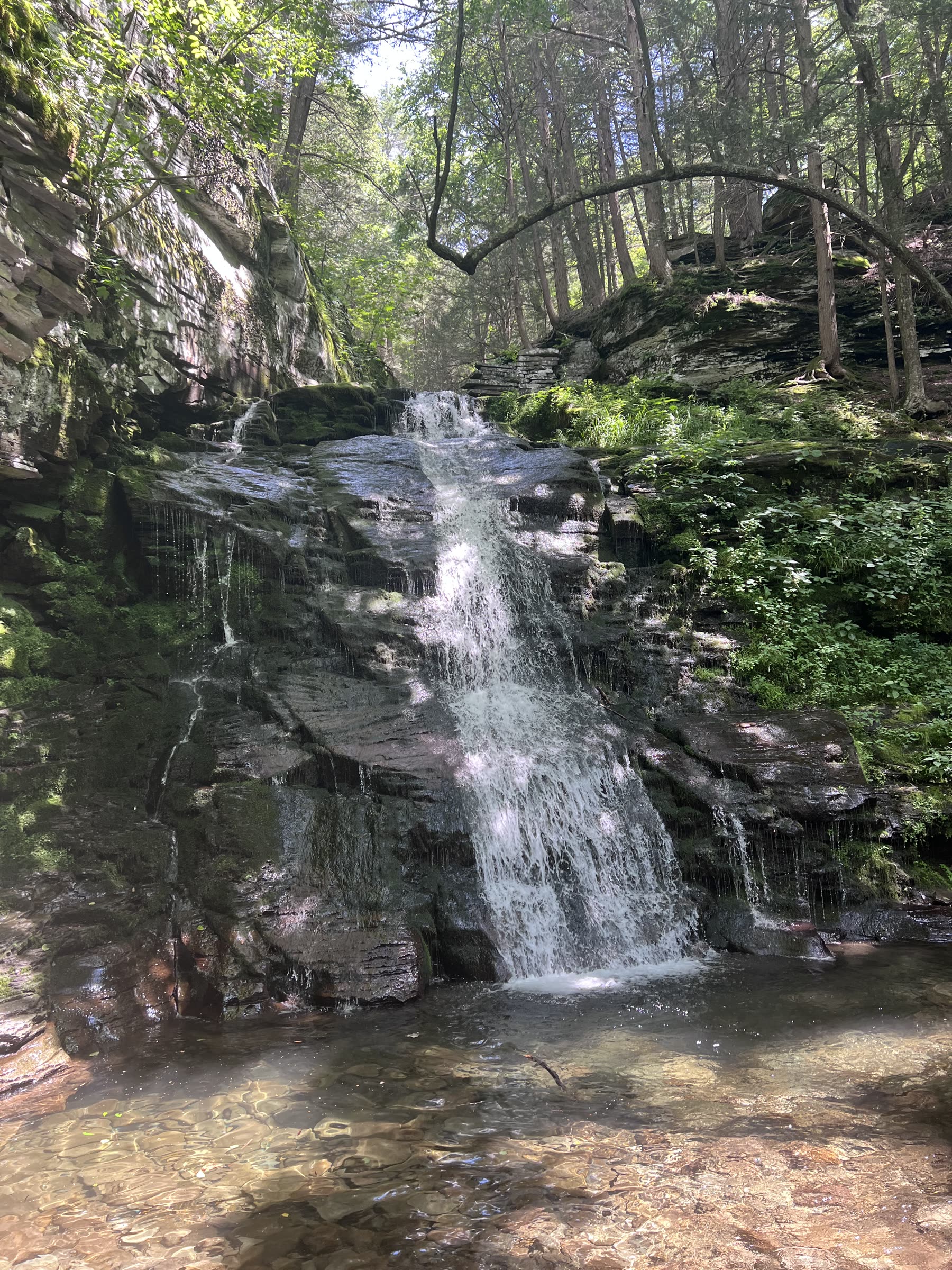 Woodland waterfall flowing over layered rock into a clear Catskills pool